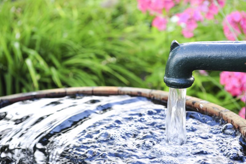 Well Water Pump Repair in Carson City, NV